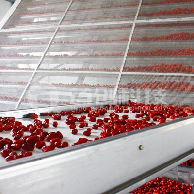 中国 フルーツ・プルーム・日付・ブドウ・ブドウ乾燥装置 自動工業用 販売のため