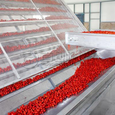 China Cinturão de aço Jujube Wolfberry Mesh Cinturão de secador Controle PLC Processamento de frutas à venda