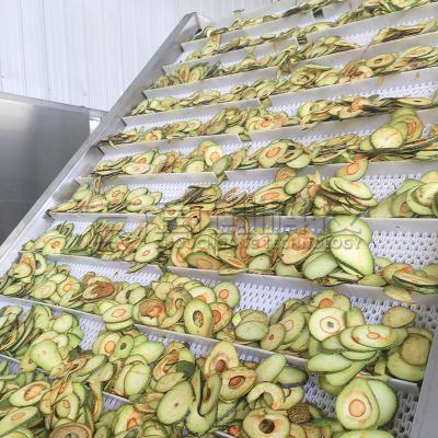 China Secador de cinturão de malha de frutas de aquecimento a gás de várias camadas para secagem de pêssego de abacate à venda