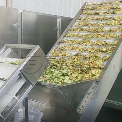 China Dehydrated Fruit Chips Continuous Belt Dryer Avocados Peaches Plums Drying System for sale