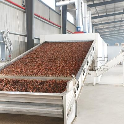 China Procesamiento de frutos secos con cinturón continuo automático Seca de cacahuetes Pistacheos Seca de granos de café en venta