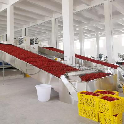 China Chili Pepper Drying System Mesh Belt Dryer Continuous Vegetable Spice Dryer for sale