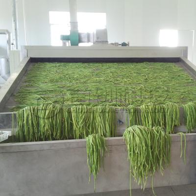 Κίνα 10 τόνους Στερεωμένα λαχανικά συνεχής στεγνωτήρας ζώνης προς πώληση