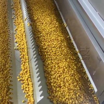 China Automatic Heat Pump Nuts Seeds Drying System Pistachio Peanuts Continuous Belt Dryer for sale