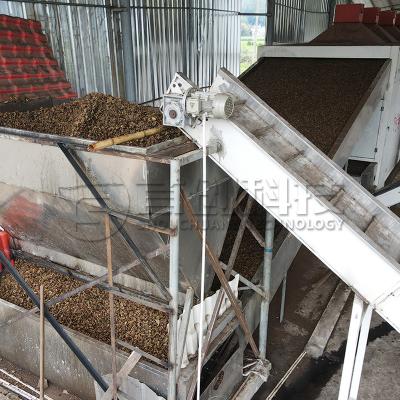 China Electric Gas Heating Spice Belt Dryer Star Anise Cinnamon Continuous Drying System for sale