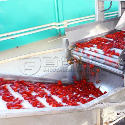 中国 ジュジュベ 梅の果実 梅の果実 網状帯 乾燥機 乾燥果実 乾燥システム 販売のため