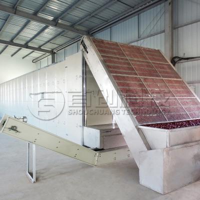 China Dried Peanut Groundnut Belt Dryer Coutinuous Nuts Drying Machine for sale