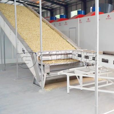 Cina Continous Belt Pistachio Macadamia Dryer Nuts Beens Drying System in vendita