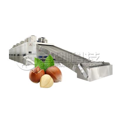 China Dried Continuous Belt Drying Cabinet Hazelnut Filbert Dryer Machine for sale