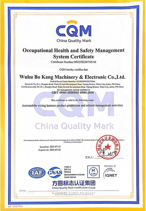 ISO 45001 - Wuhu Bokang Machinery & Electronic Co, Ltd.