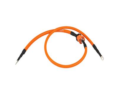 China Waterproof 500mm Negative High Voltage Wire Harness for sale