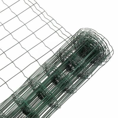 Chine 10m-100m clôture en fil de fer soudé décoratif galvanisé clôture en fil de fer soudé jardin OEM à vendre
