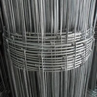 China Fenda de malla de alambre de granja de praderas fácil de ensamblar Eco amigable 10-200m en venta