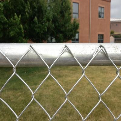 China 8 Foot Hot Dipped Galvanized Chain Link Fence Panels For Boundary Wall for sale