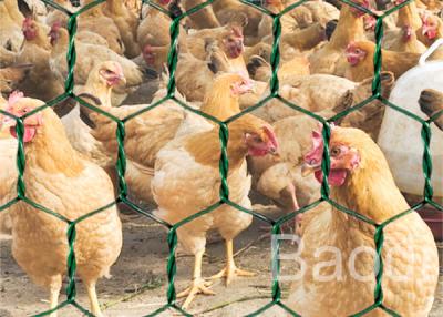 China O vinil verde revestiu o rolo da rede de arame da galinha com o teste padrão sextavado 1/2