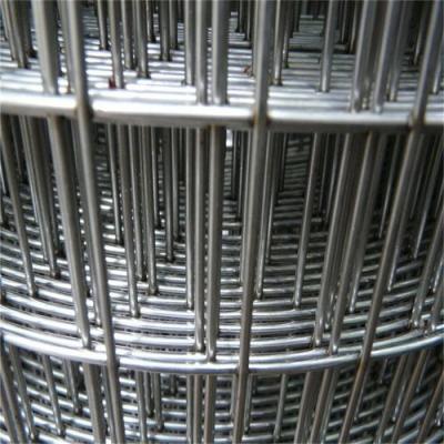 China Customizable 4ftx50ft Galvanized Welded Wire Mesh Chicken Bird Cage Wire Mesh for sale