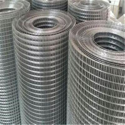 China Customizable Galvanized Welded Wire Mesh For Enclosure Farming for sale