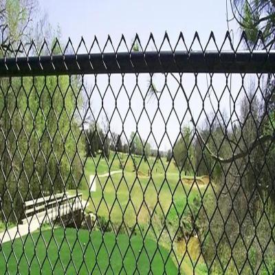 China 100ft 8ft 6ft Black Galvanized Chain Link Fence Galvanized Diamond Wire Mesh for sale