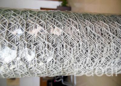 China White Color Plastic Poultry Netting / Chicken Wire Mesh Roll With Hexagonal Holes for sale