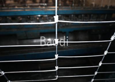 China Cerca tejida nudo del campo de la junta de bisagra hecha de la cerca de alambre galvanizada del hierro en venta