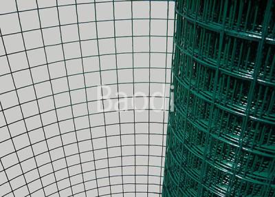 China Animal Fence Pvc Coated 1x1 Ss Weld Mesh Green Color 19 Gauge for sale