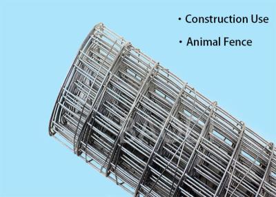 China Iron Galvanized W2m Pvc Coated Welded Wire Mesh 14 Gauge for sale