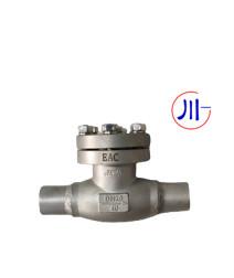 China BW Cryogenic Check Valve DN10-100mm for sale