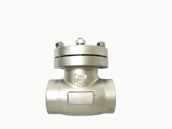 China DN40 PN25 Manual Cryogenic Swing Check Valve 2 Way for sale