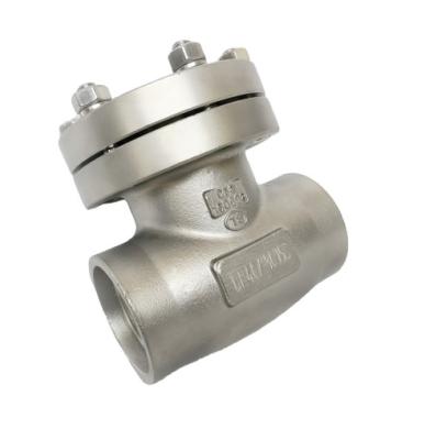 China OEM DN15 PN40 Cryogenic Check Valve Stainless Steel Disc Shaped For LNG for sale