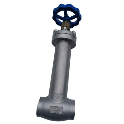 China Long Stem SS304 316 CF8 CF8M Or Other Material Customize Cryogenic Globe Valve for sale
