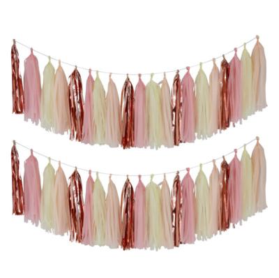 China DIY Tissue Paper Tassel Banner Pack of 5 Unassembled tissue Garland for Wedding, Baby Shower, Birthday, Fiesta Fringe Party Ban for sale