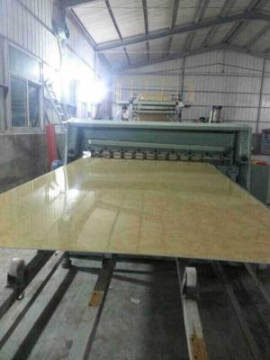 China Línea de la protuberancia del panel de pared del mármol de WPC, cadena de producción plástica del panel del mármol del PVC en venta