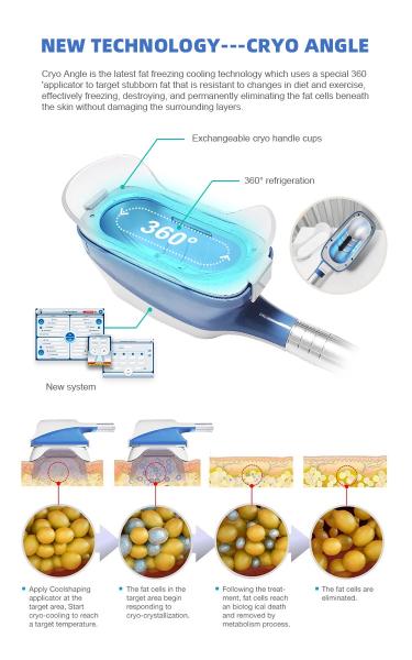 Quality 360 Degree Cryolipolysis Slimming Machine 4 Handle Fat Freeze for sale