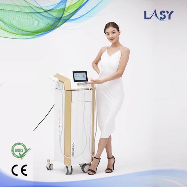 Quality Non Surgical Skin Rejuvenation RF Microneedle Machine Radio Frequency 1-50W for sale