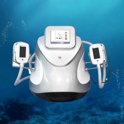 China CTL178 Double Handles Ctyolipolysis Fat Freezing Machine For Body Belly Fat Removal for sale