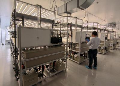 中国 オーダーメイド水栽培栽培システム エアロポニック水栽培システム 基板システム 販売のため