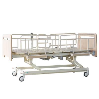 China 2 ABS Crank Wooden Electric Homecare Bed Anti Winding For elderly care Patient for sale