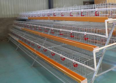 China A Type Layer Chicken Cage for sale