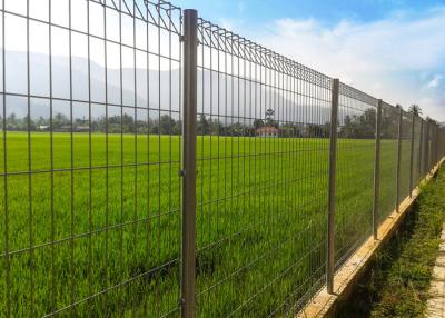 China 4mm Wire 2m High Home Garden Brc Mesh Fencing for sale