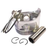Quality Gasoline Piston Assembly for sale