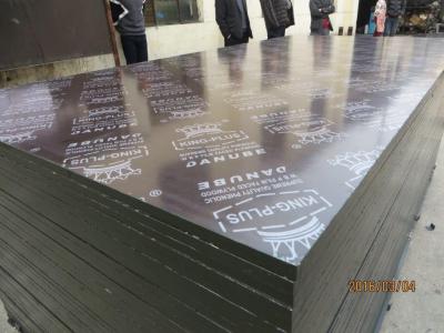 China Film Faced Plywood For Concrete Template More. Phenolic-glue.eucalyptus core. for sale