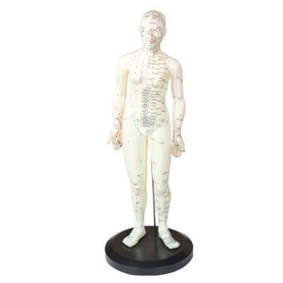 China ZhongYan TaiHe CE Certificate Female Acupuncture Model For Medical Teaching for sale