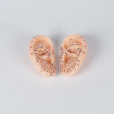 Chine ODM médical de Chinese In Pair de modèle d'acuponcture d'oreille de 9cm sans puanteur à vendre