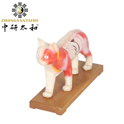 China 28cm Cat Acupuncture Model Chinese Medical Teaching Acupuncture Body Model PVC for sale