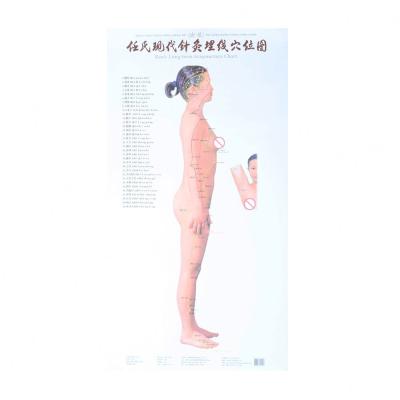 China Human Body Meridian Acupuncture Culture Acupoint Acupressure Points Chart for sale