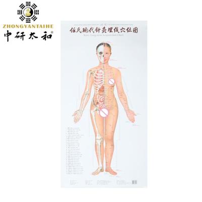 China Da cultura meridiana da acupuntura do corpo acupuntura e ponto modernos do encaixotamento à venda