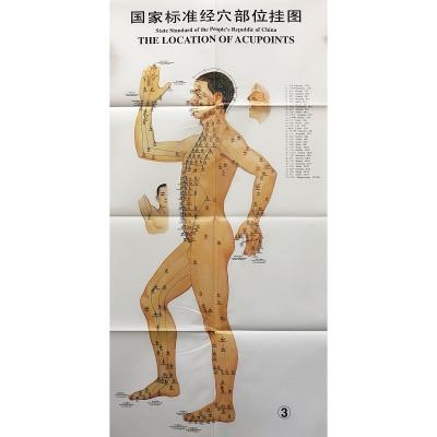 China 3pcs Meridian Acupuncture Chart ISO Acupuncture Culture for sale