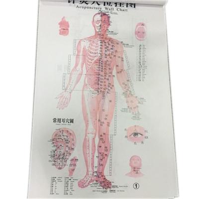 China English Acupuncture Wall Chart 7PCS Per Set Human Acupuncture Chart for sale