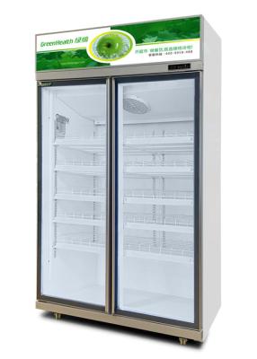 China Refrigerador comercial ereto de vidro da bebida da personalização refrigerar rápido do baixo E à venda