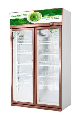 Chine Commercial Two Door Glass Fridge Vertical Display Chiller With Low Noise à vendre
